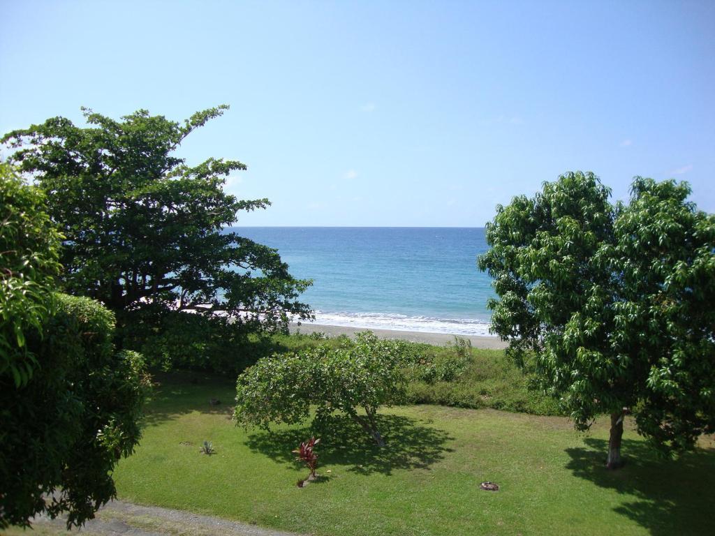 By The Sea Vacation Home And Villa ポート・アントニオ 部屋 写真
